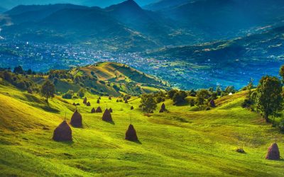 Quand le rural fait la nique à la ville : petite révolution de l’artisanat français !