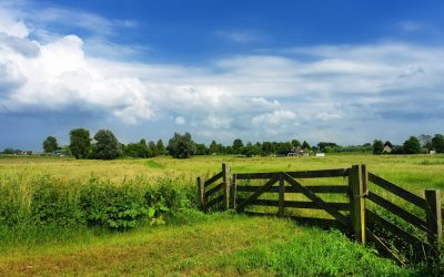 L’Étonnant Renouveau des Communautés Rurales grâce au Haut Débit : Mythe ou Réalité ?