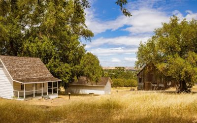 La ruralité à l’heure du digital : plongée insolite au coeur du terroir 2.0