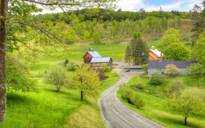 Alimentation bio et locale : les villages, nouveaux champions du bien-manger?