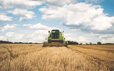 Les Superpouvoirs Cachés des Villages qui Résistent au Temps