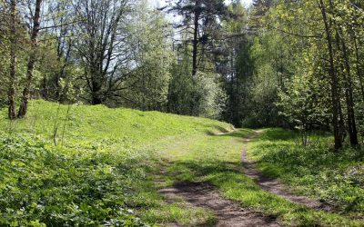 Les Secrets cachés de la Campagne – Un Regard Inattendu sur la Ruralité