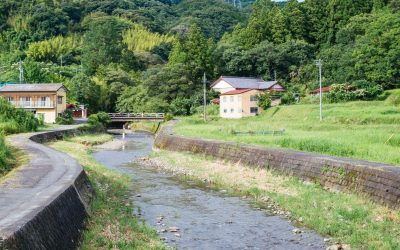 Ces villages qui se transforment en oasis numériques : Révolution ou illusion ?