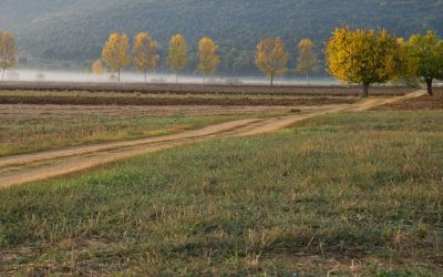 La fin des villages fantômes : comment des startups redonnent vie à la ruralité