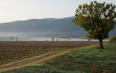 Ces villages fantômes français qui renaissent grâce au télétravail