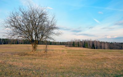 La Renaissance des Villages Oubliés : Quand le Télétravail Sauve les Campagnes