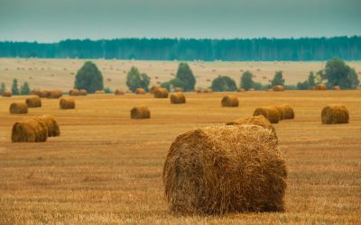 Ces villages qui se rebellent : Quand la ruralité prend le pouvoir !