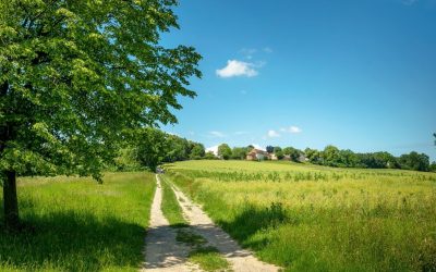 Quand les villages se rebiffent : La révolution silencieuse des campagnes