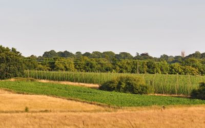 Les secrets inexplorés des villages français: ces trésors cachés dans la ruralité